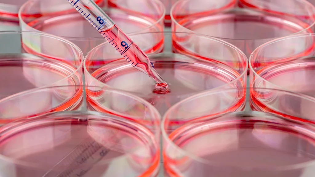 3d cell culture scaffolds in biotechnology lab